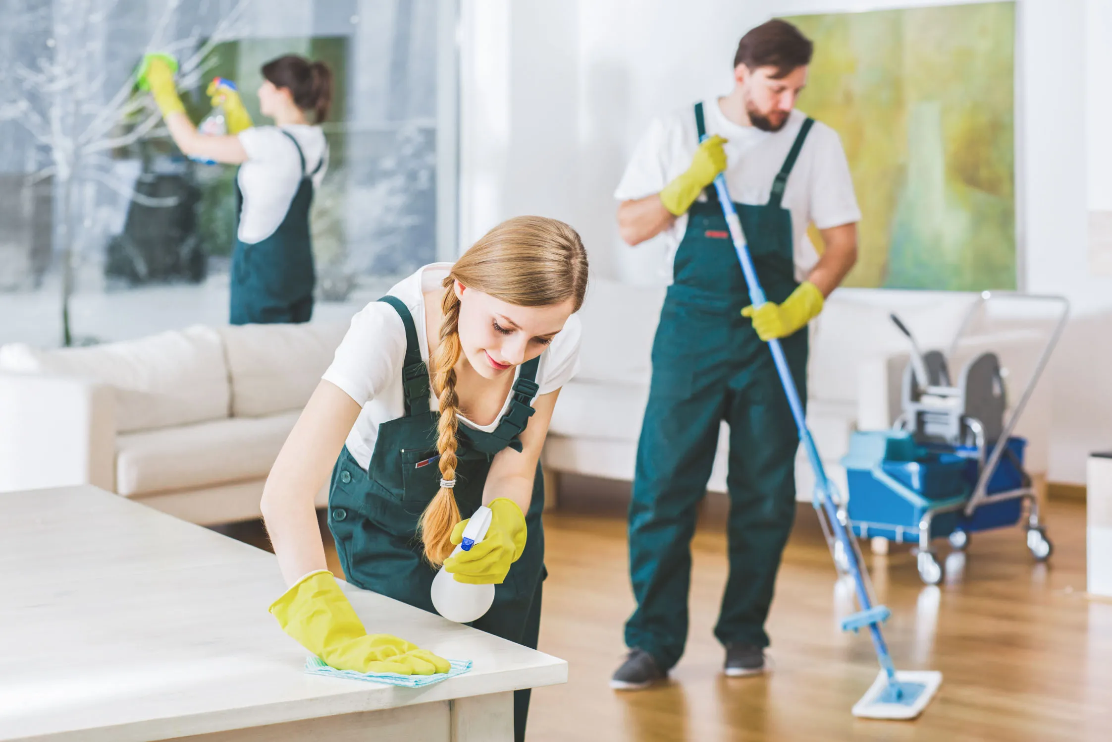 Cleaning (Interior/ Exterior)